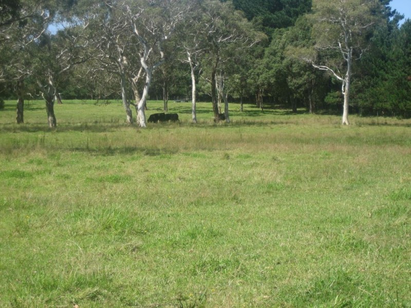 387 Cloonty Road, Robertson NSW 2577