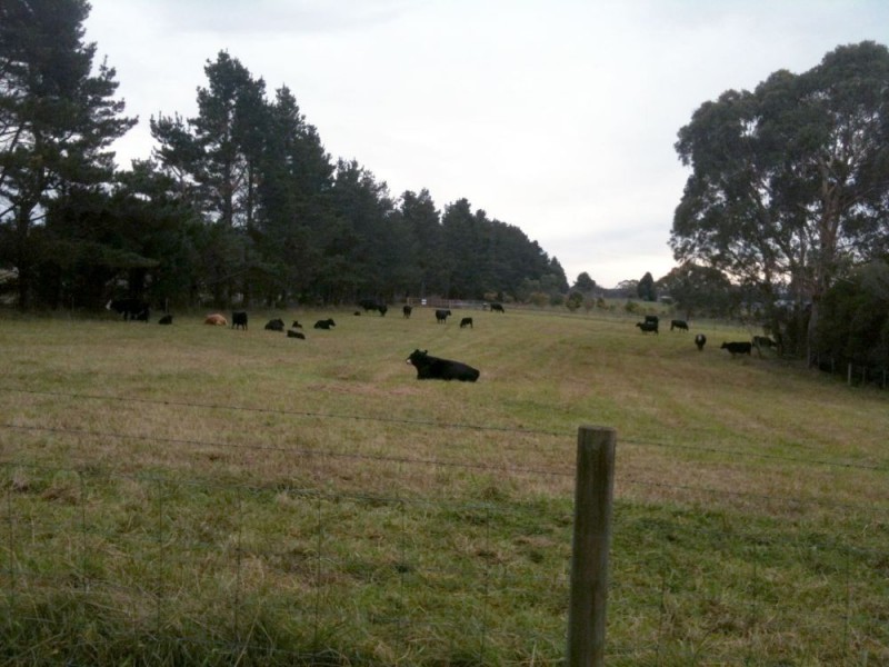 387 Cloonty Road, Robertson NSW 2577