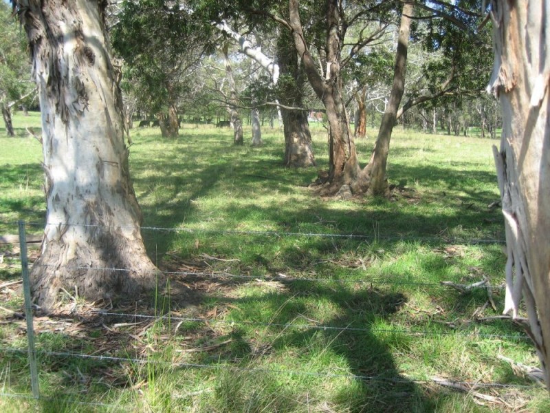 387 Cloonty Road, Robertson NSW 2577