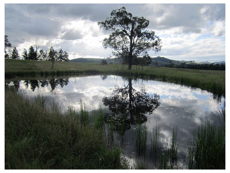 1759 Fosterton Road, Dungog NSW 2420