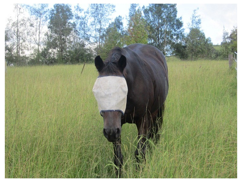 1759 Fosterton Road, Dungog NSW 2420