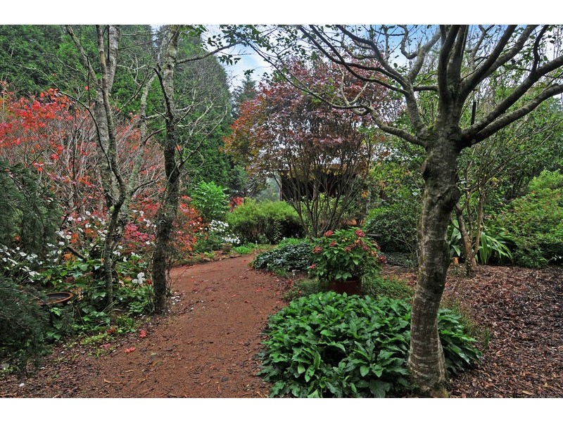 1 Ranelagh Street, Robertson NSW 2577