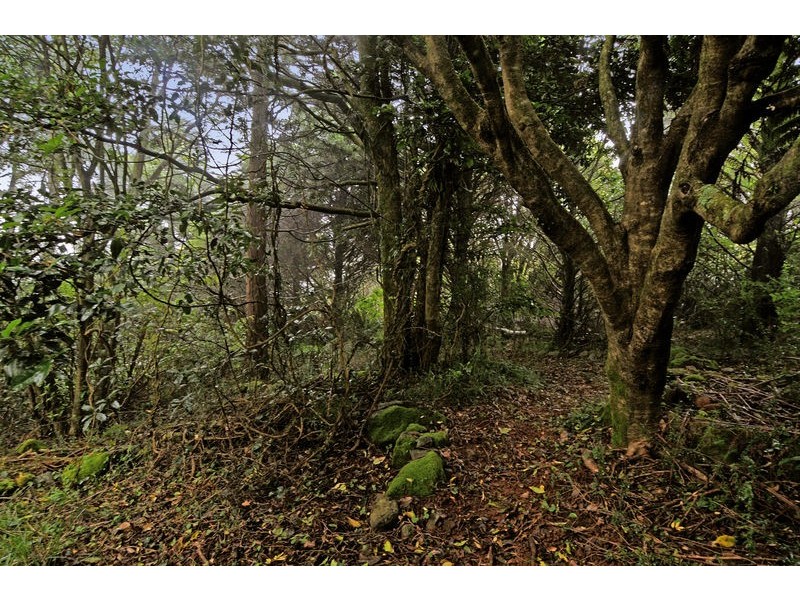 1 Ranelagh Street, Robertson NSW 2577