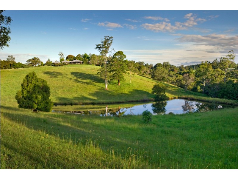 490 Roses Road, Bellingen NSW 2454