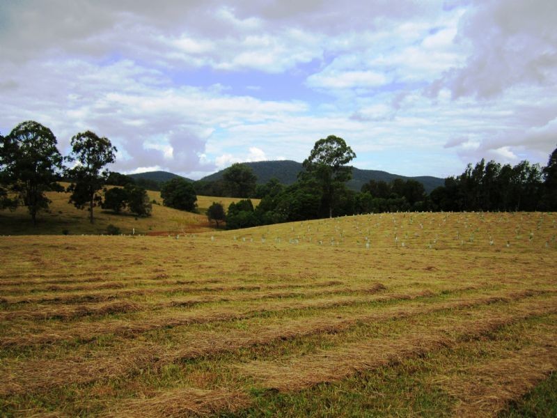 Lot 201 Riverdowns Estate, Clarence Town NSW 2321