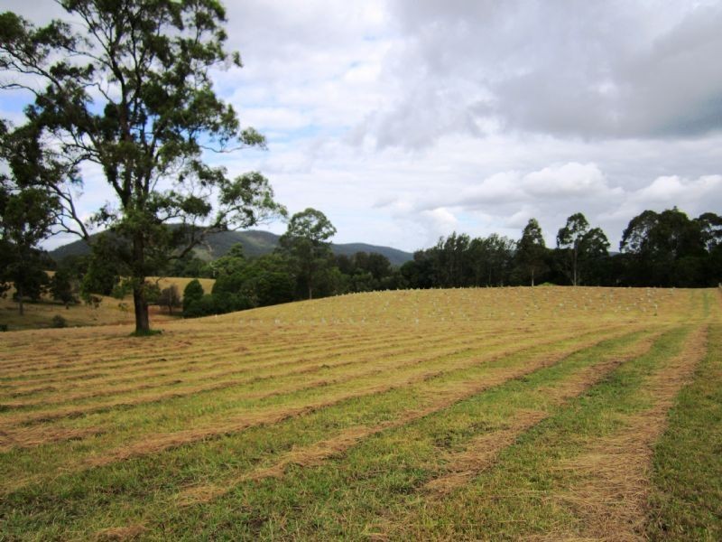 Lot 203 River Downs Estate, Clarence Town NSW 2321