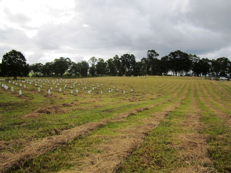 Lot 203 River Downs Estate, Clarence Town NSW 2321