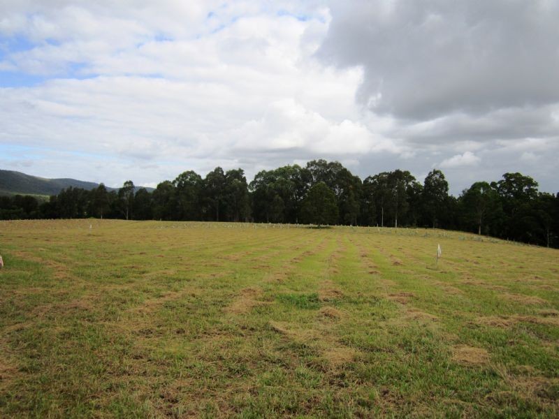 Lot 203 River Downs Estate, Clarence Town NSW 2321