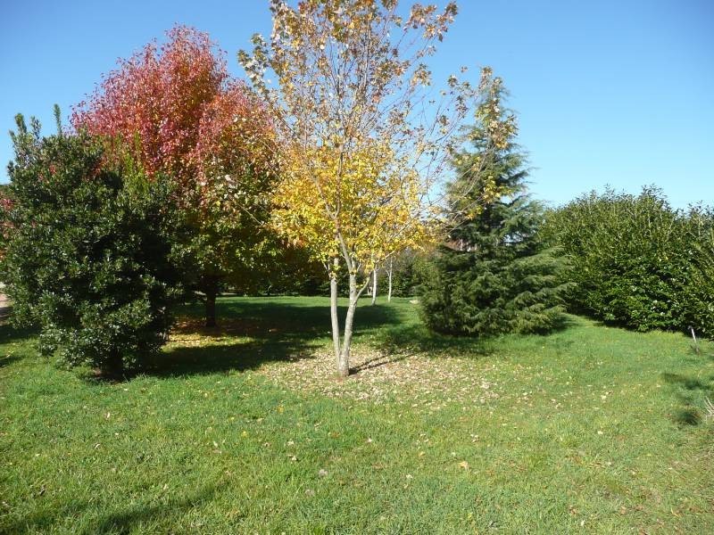 183 Ringwood Road, Exeter NSW 2579