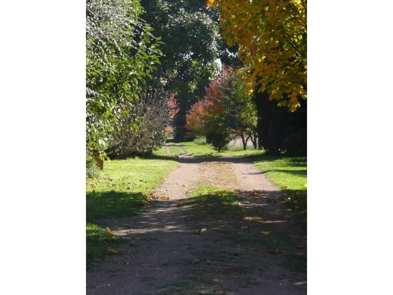 183 Ringwood Road, Exeter NSW 2579