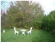 Burradoo NSW 2576