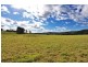 1 Queen Street, Paterson NSW 2421