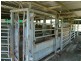 1110 Barrington West Road, Barrington NSW 2422