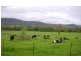 1110 Barrington West Road, Barrington NSW 2422