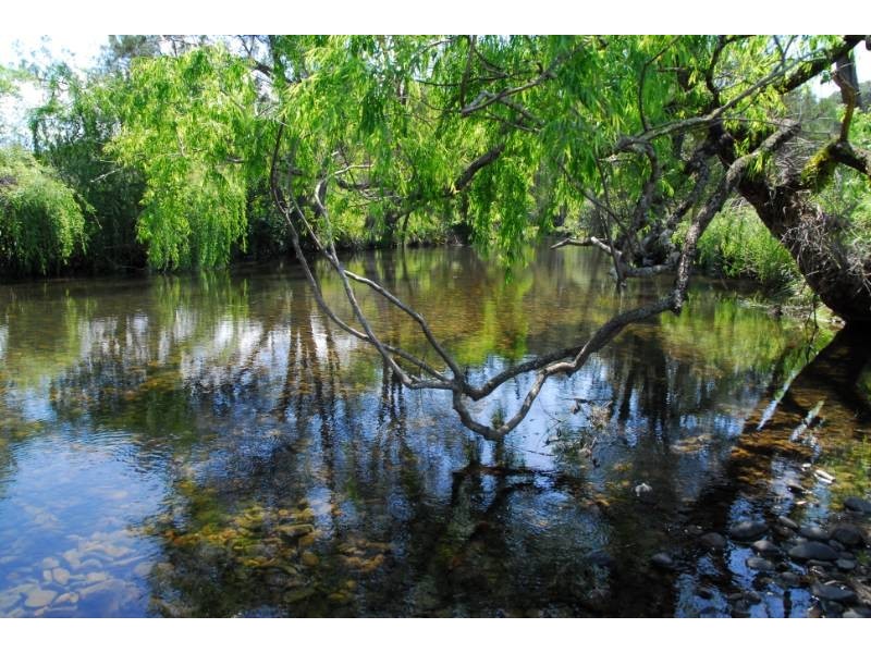 21 Westley’s Road, Barrington NSW 2422