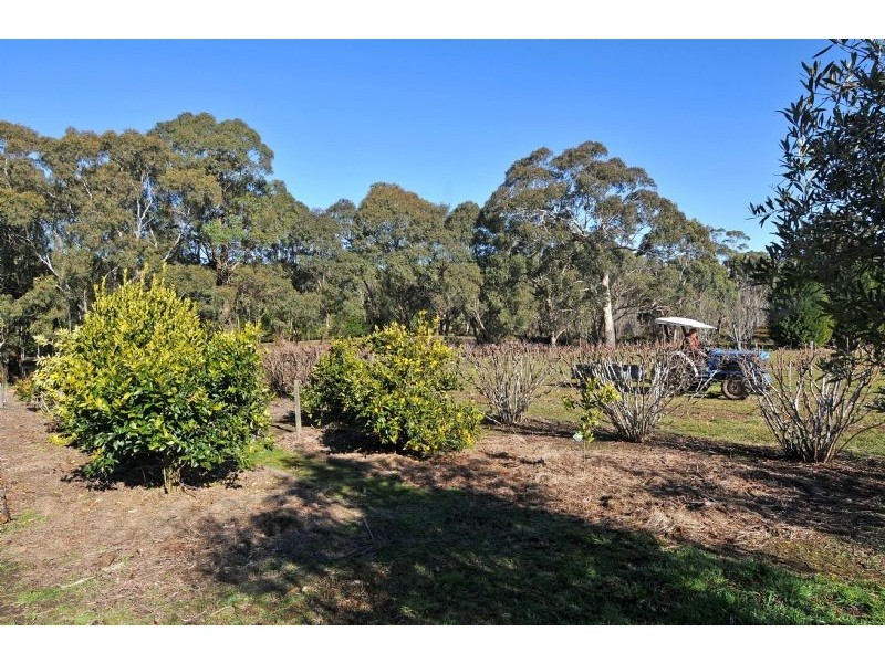 8 Birchwood Drive, Bundanoon NSW 2578