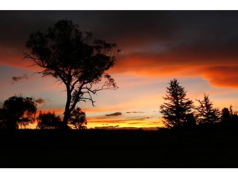 Lot 2 “Eagle View” Callemondah Road, Shannons Flat NSW 2630