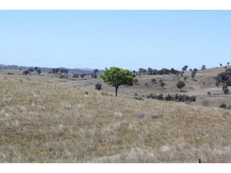 Taylors Flat NSW 2586