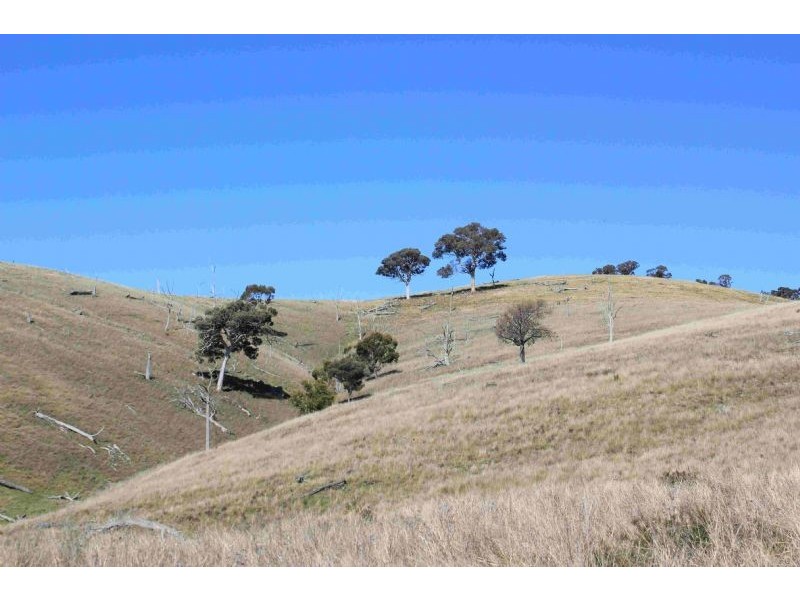 Taylors Flat NSW 2586