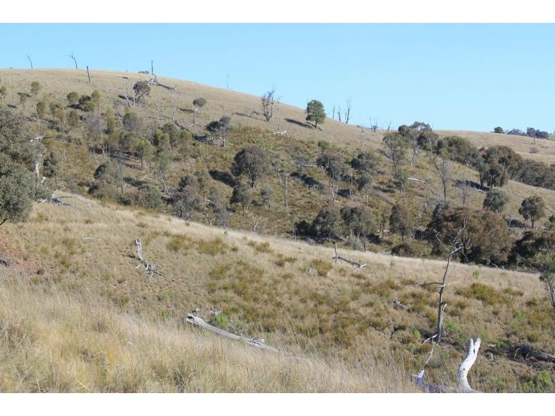 Taylors Flat NSW 2586