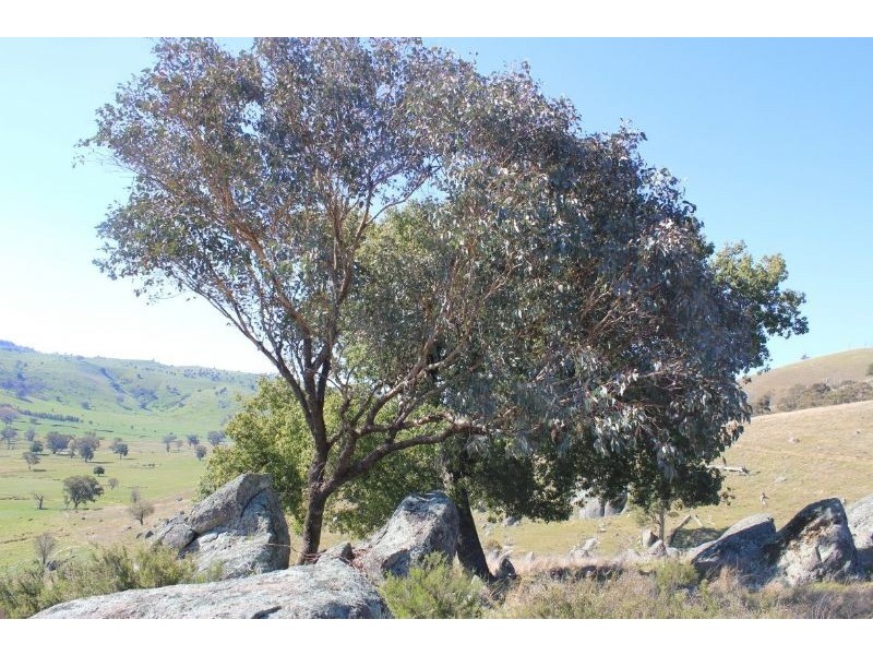 Taylors Flat NSW 2586