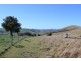 Taylors Flat NSW 2586