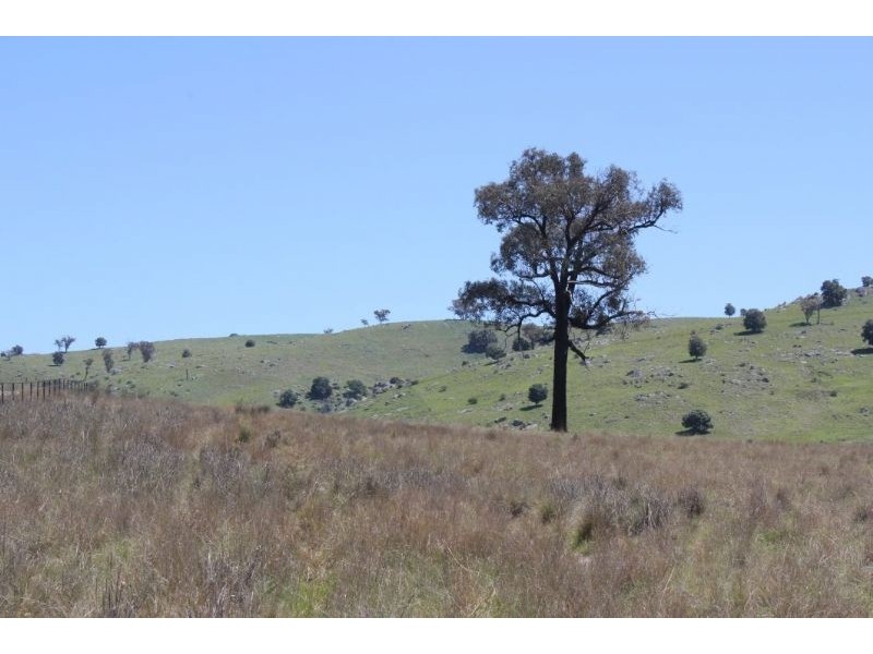 Taylors Flat NSW 2586