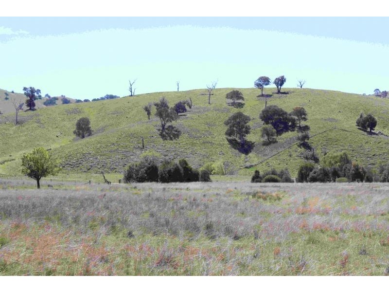 Taylors Flat NSW 2586