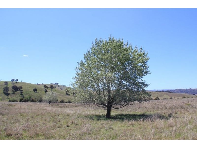 Taylors Flat NSW 2586