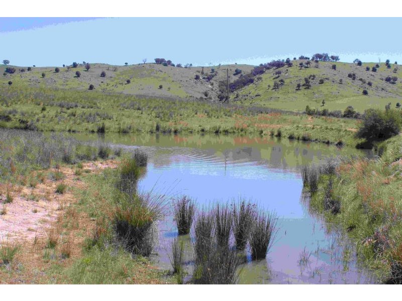 Taylors Flat NSW 2586