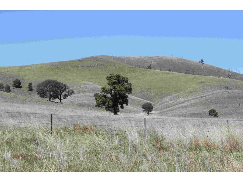 Taylors Flat NSW 2586