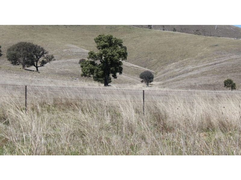 Taylors Flat NSW 2586