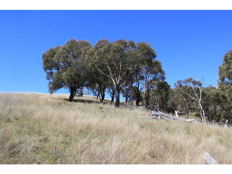 Taylors Flat NSW 2586