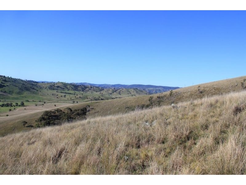 Taylors Flat NSW 2586