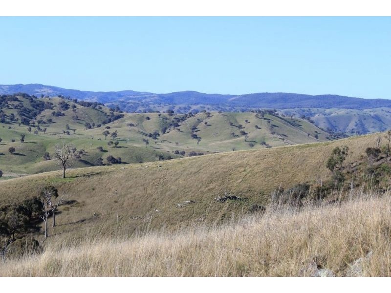 Taylors Flat NSW 2586