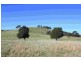 Taylors Flat NSW 2586
