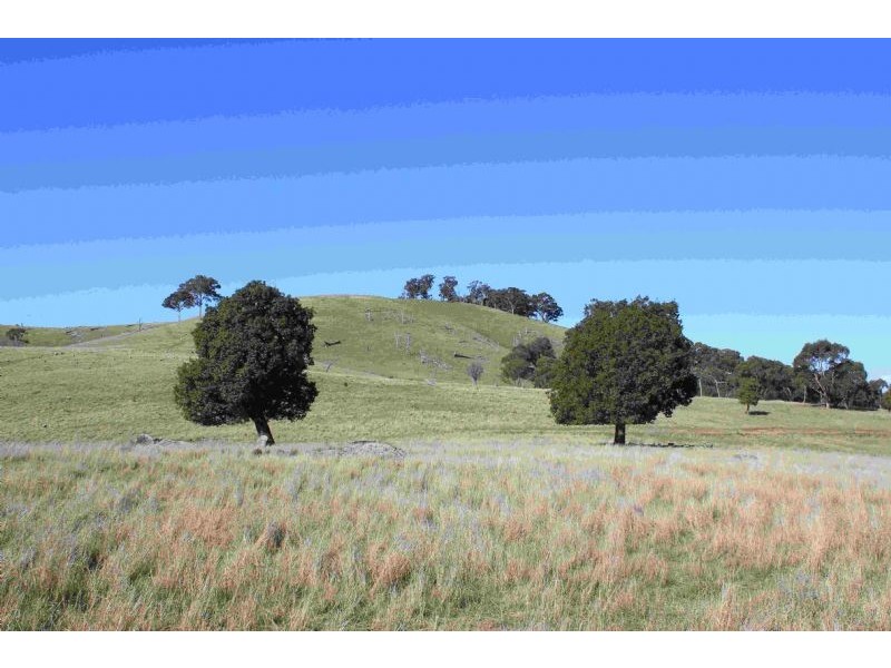 Taylors Flat NSW 2586