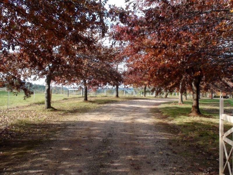 159 Ringwood Road, Exeter NSW 2579