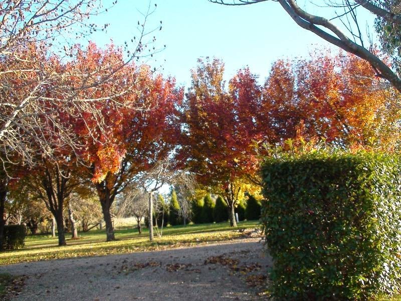 159 Ringwood Road, Exeter NSW 2579