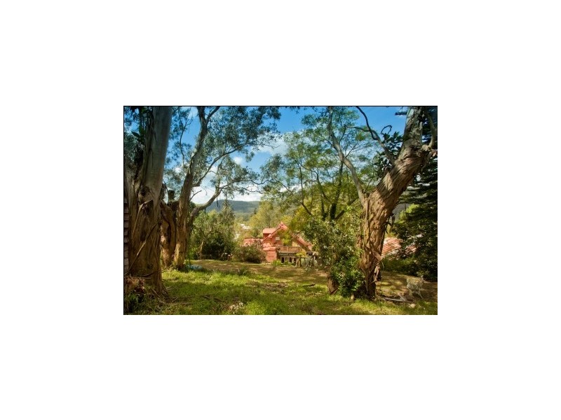 10 Church St, Paterson NSW 2421