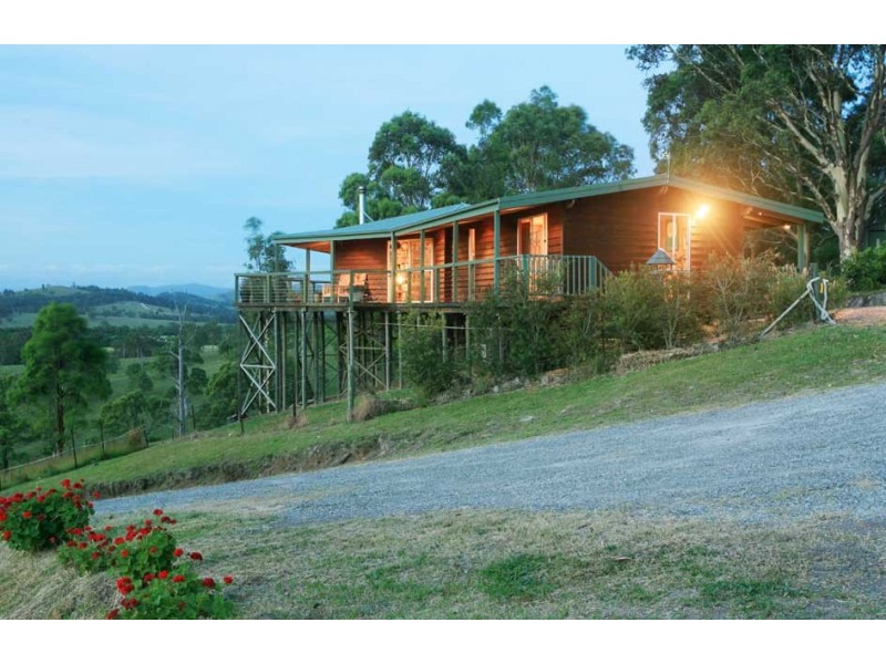 782 Pinebrush Rd, Dungog NSW 2420