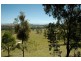 782 Pinebrush Rd, Dungog NSW 2420