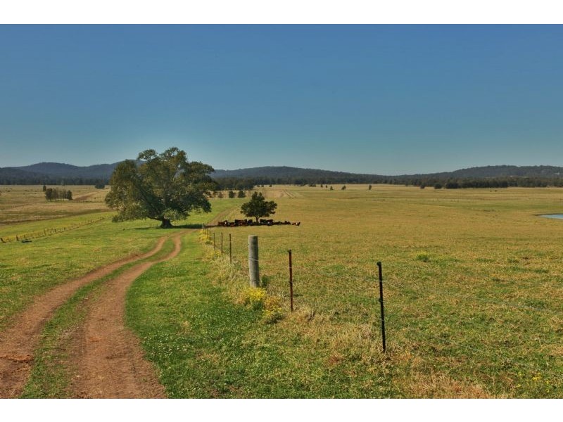 600 Seaham Rd, Nelsons Plains NSW 2324