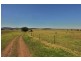 600 Seaham Rd, Nelsons Plains NSW 2324