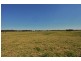 600 Seaham Rd, Nelsons Plains NSW 2324