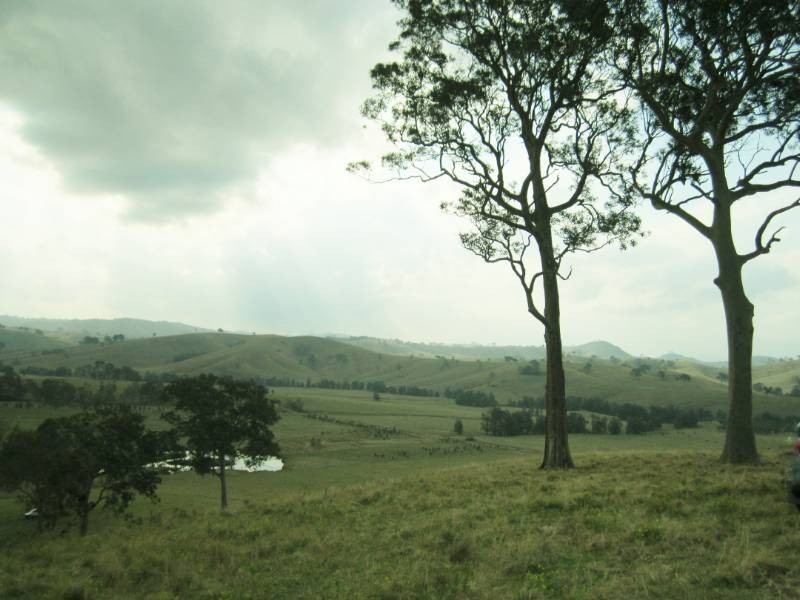 223 Hanleys Creek Rd, Dungog NSW 2420