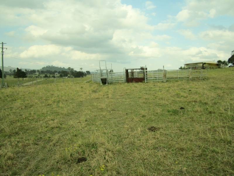 223 Hanleys Creek Rd, Dungog NSW 2420