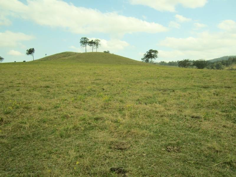 223 Hanleys Creek Rd, Dungog NSW 2420