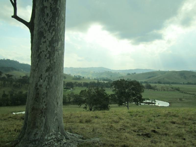 223 Hanleys Creek Rd, Dungog NSW 2420