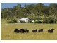 273 Hanleys Creek Rd, Dungog NSW 2420